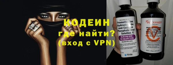 шишки Снежногорск