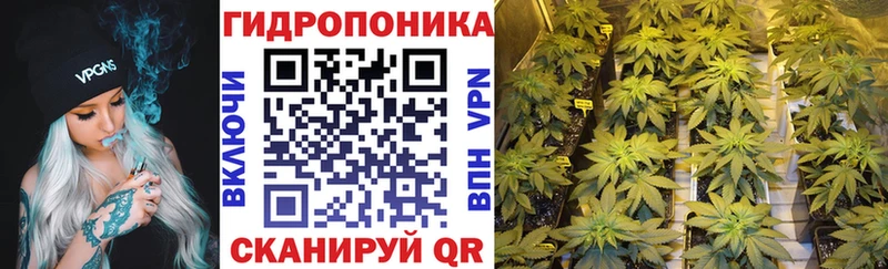 Бошки Шишки White Widow  Плавск 